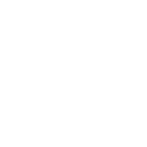 WiFi Icon